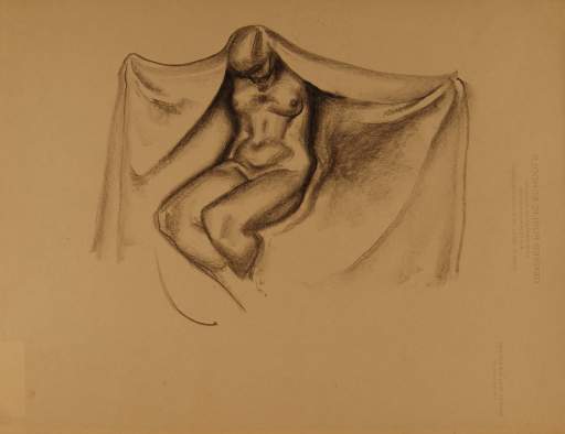 Seated Female Nude with Large Sheet Held Around Back