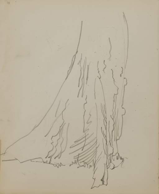 Untitled (sketch of a tree trunk)