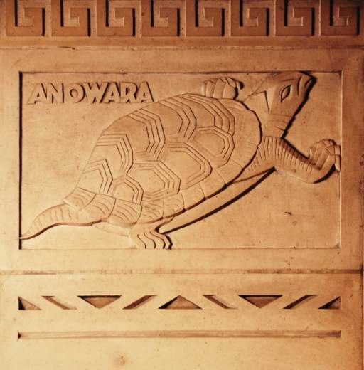 [Anowara, turtle, Buffalo CIty Hall]