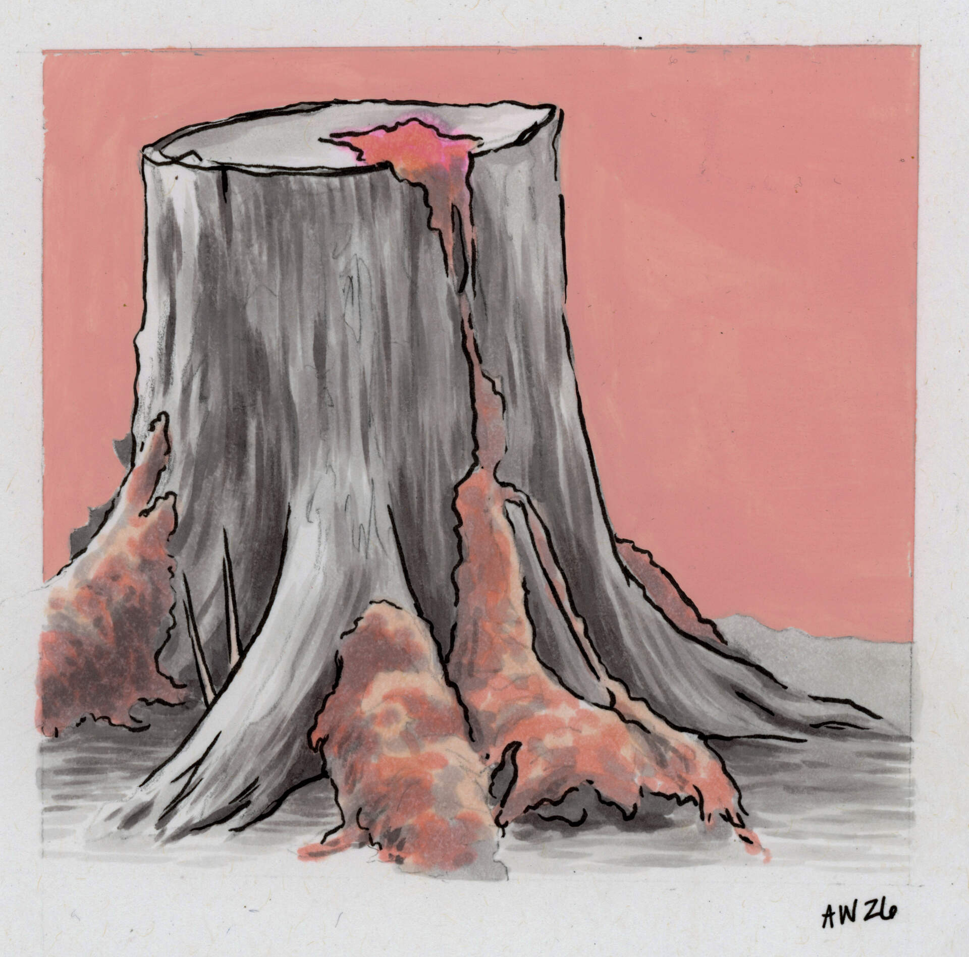 Tree Stump