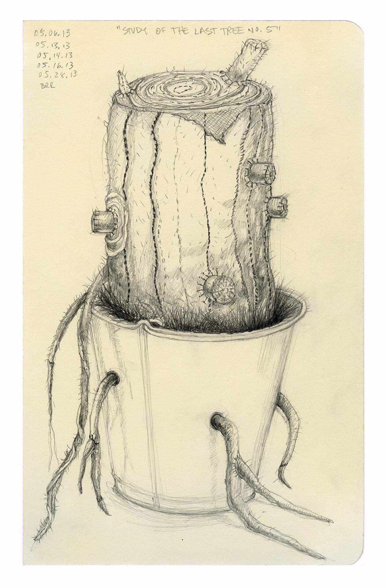 Study For the Last Tree No. 5