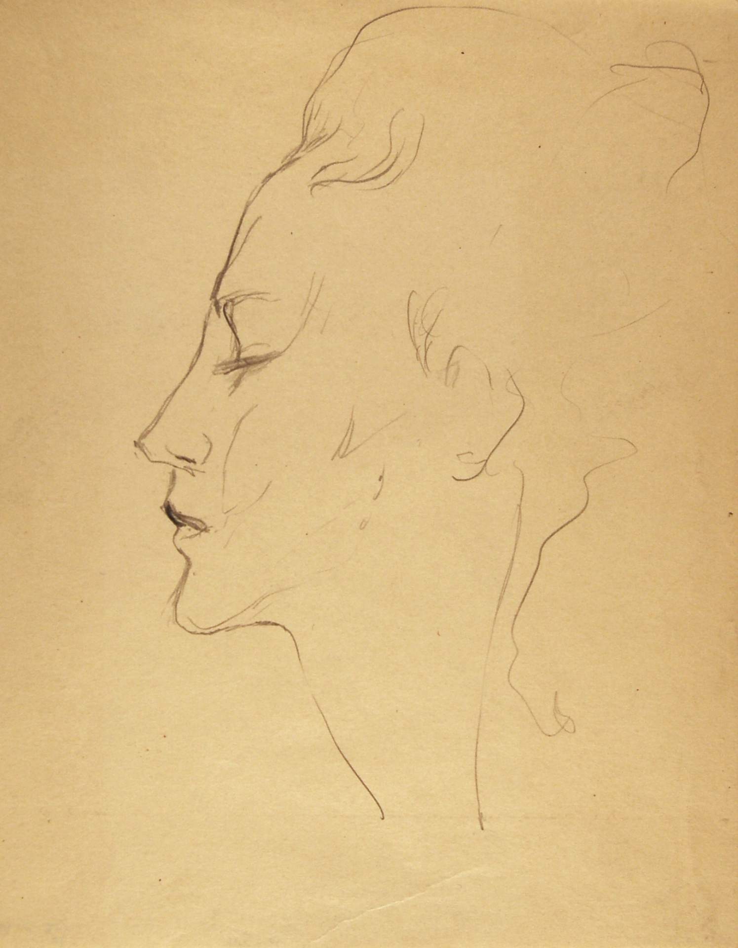 Profile of Female Head
