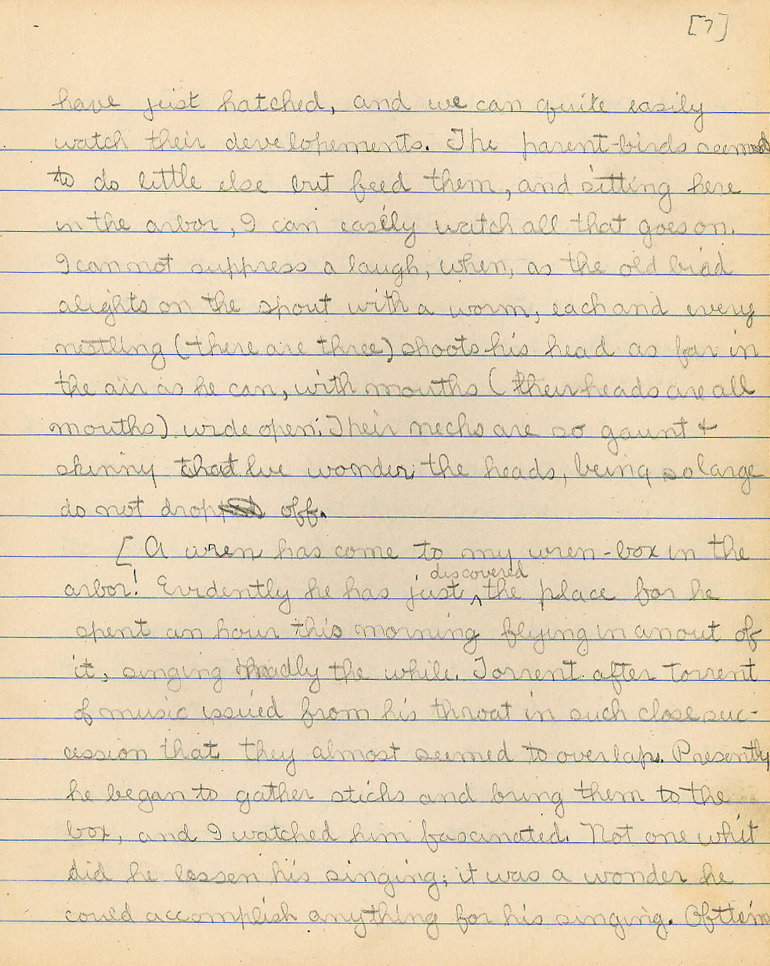 Untitled (Journal Pg 7)