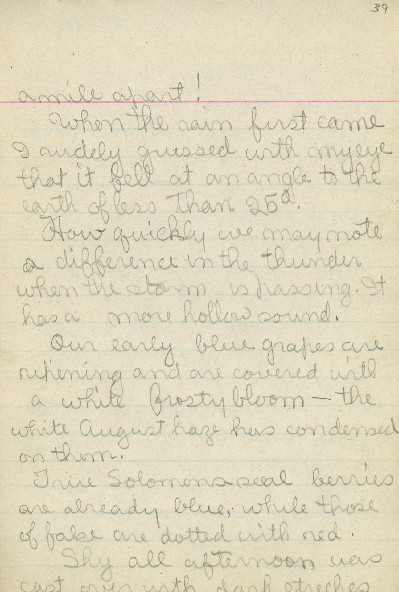 Untitled (Journal Page), Pg 39