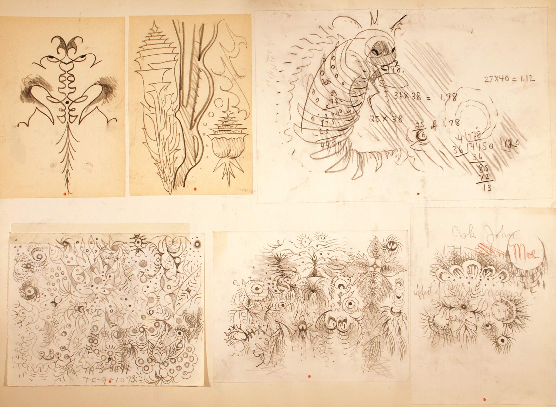 Name Doodle Charles, Chrysalis, Monarch caterpillar and more