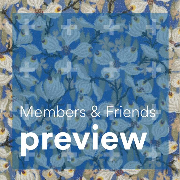 Members & Friends Preview