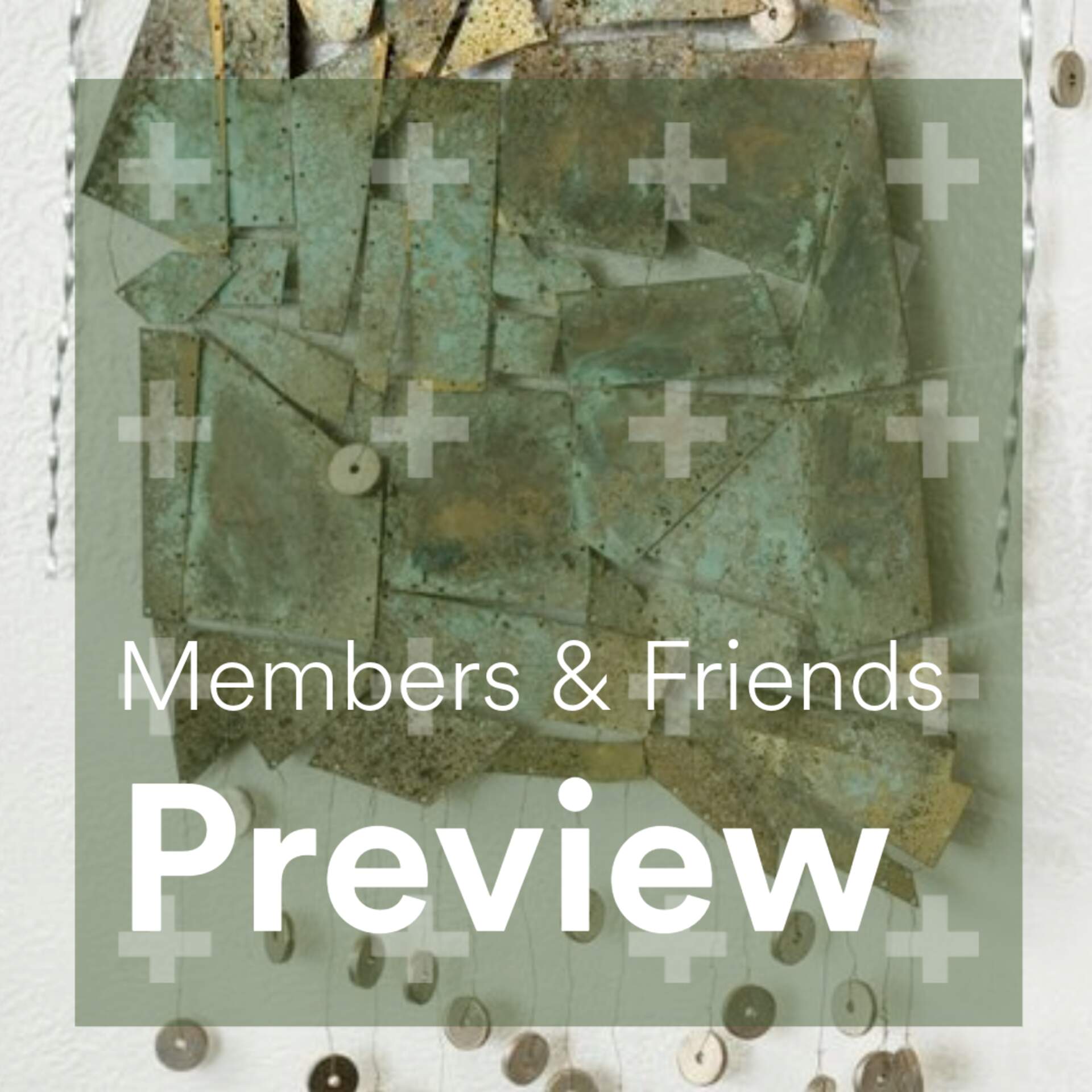 Members & Friends Preview