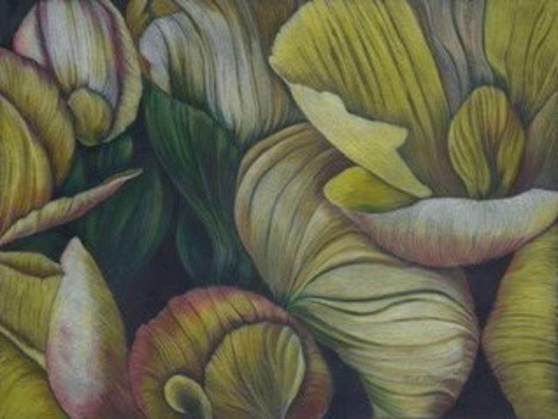 Still Life Sunday