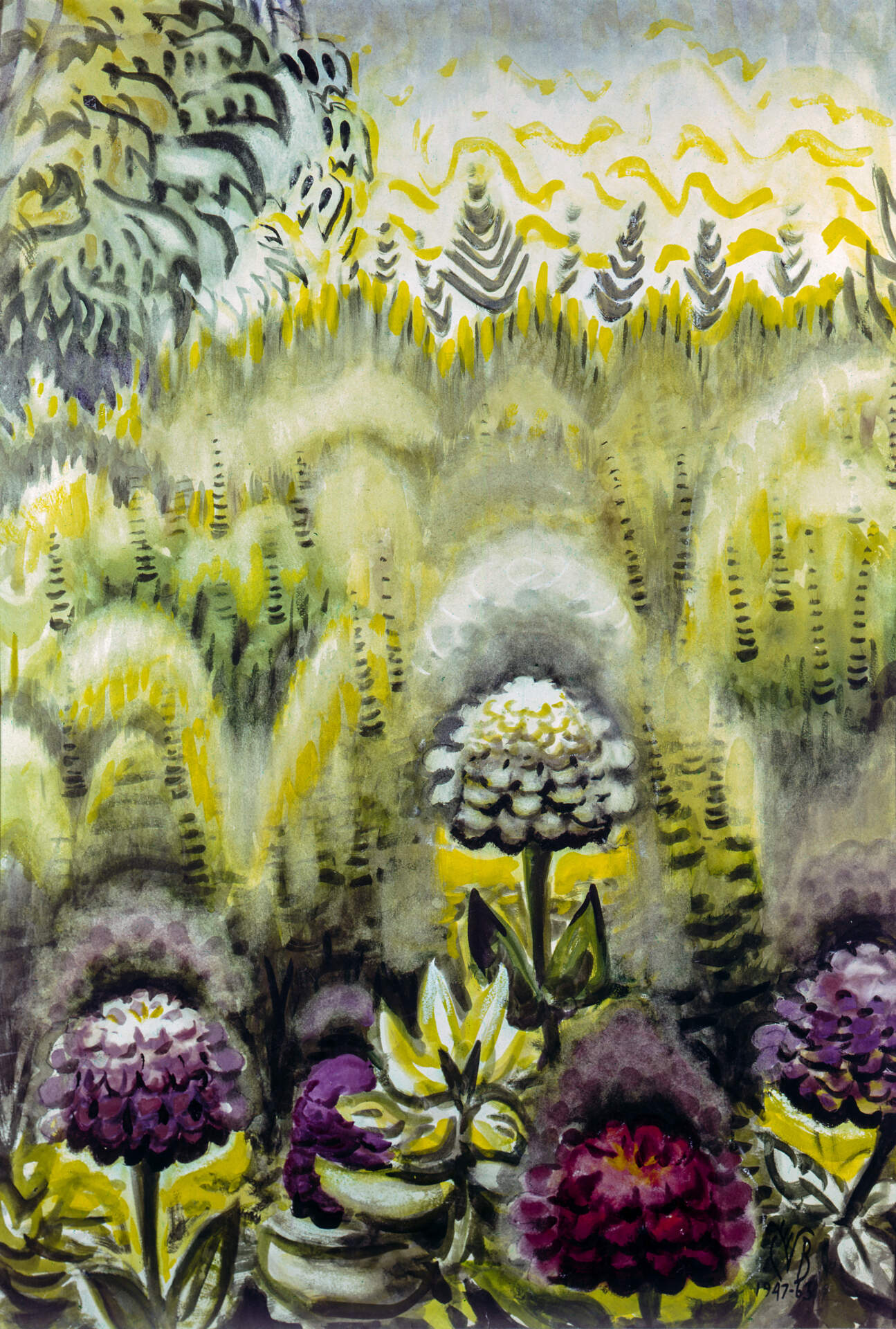 Zinnias