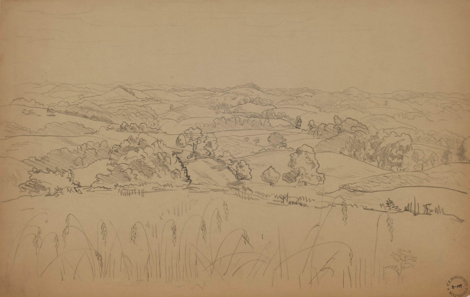 Farm Land Valley
