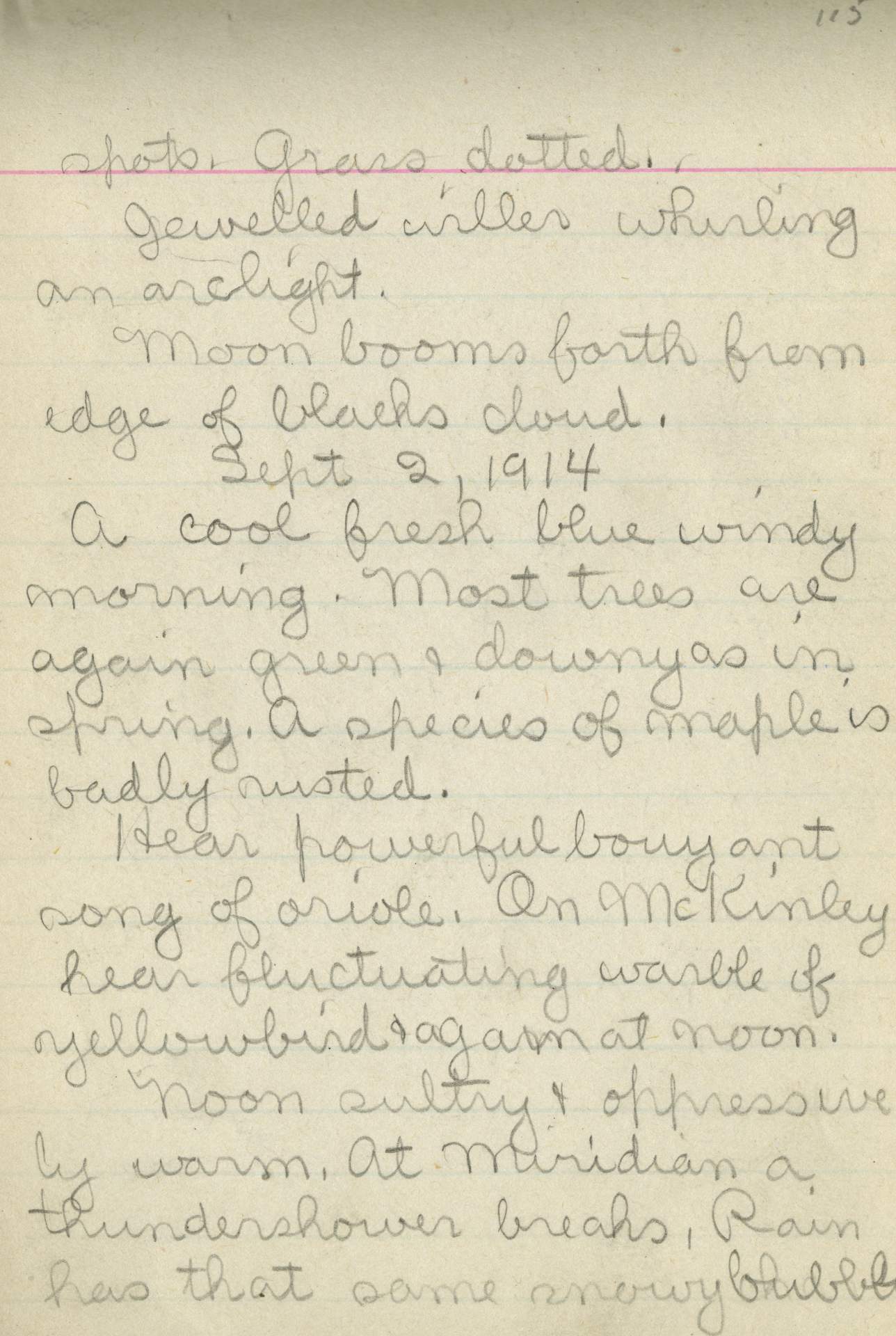 Untitled (Journal Page), Pg 115