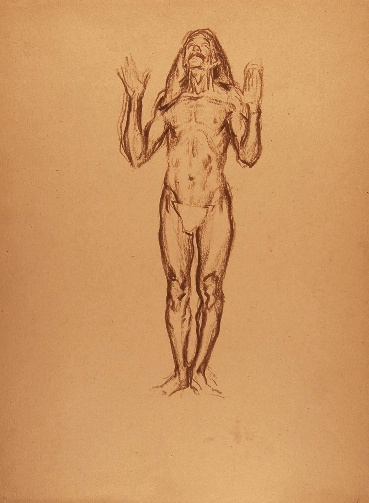 Standing Male Nude