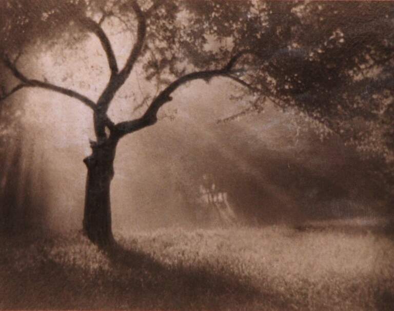 Shadows and Reflections: Pictorial Photography by Wilbur H. Porterfield