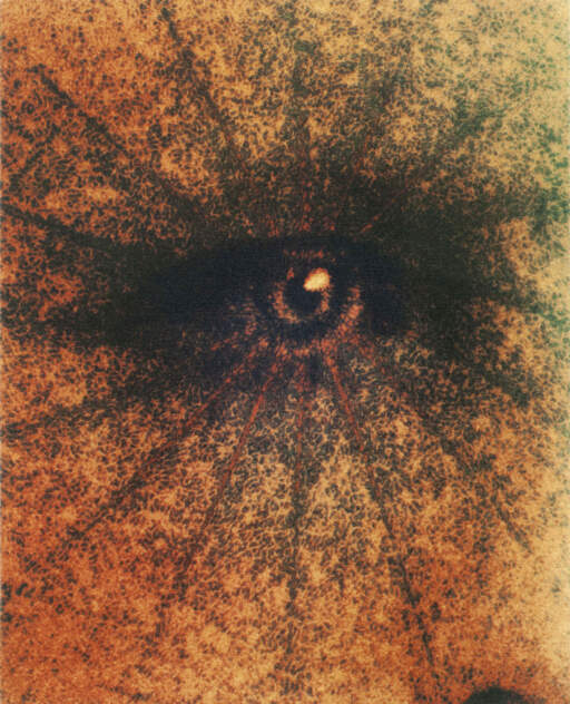 Solar Eye