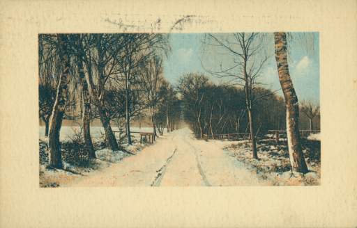 Postcard to Arthur C. Thomas, Snow-covered road