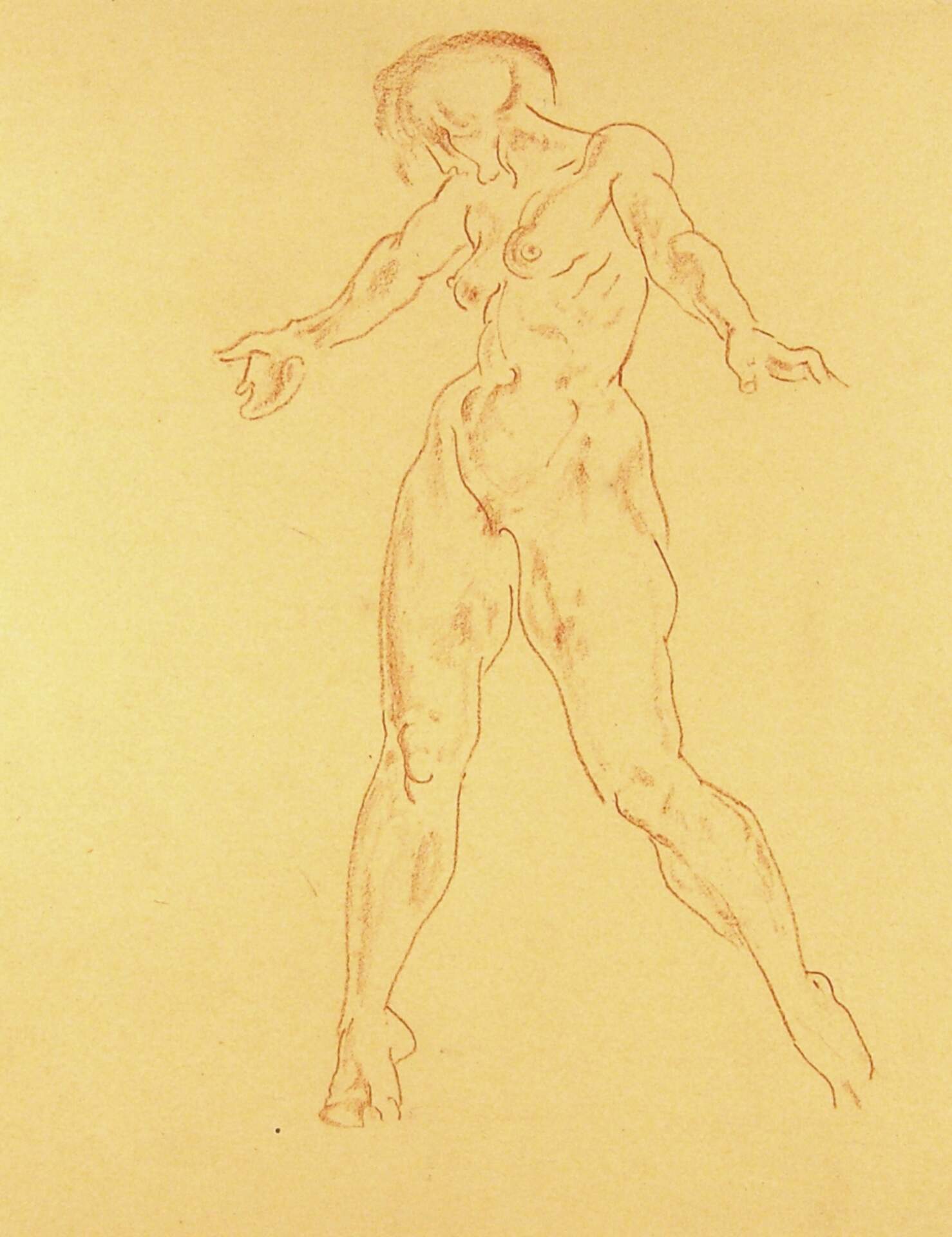 Standing Female Nude