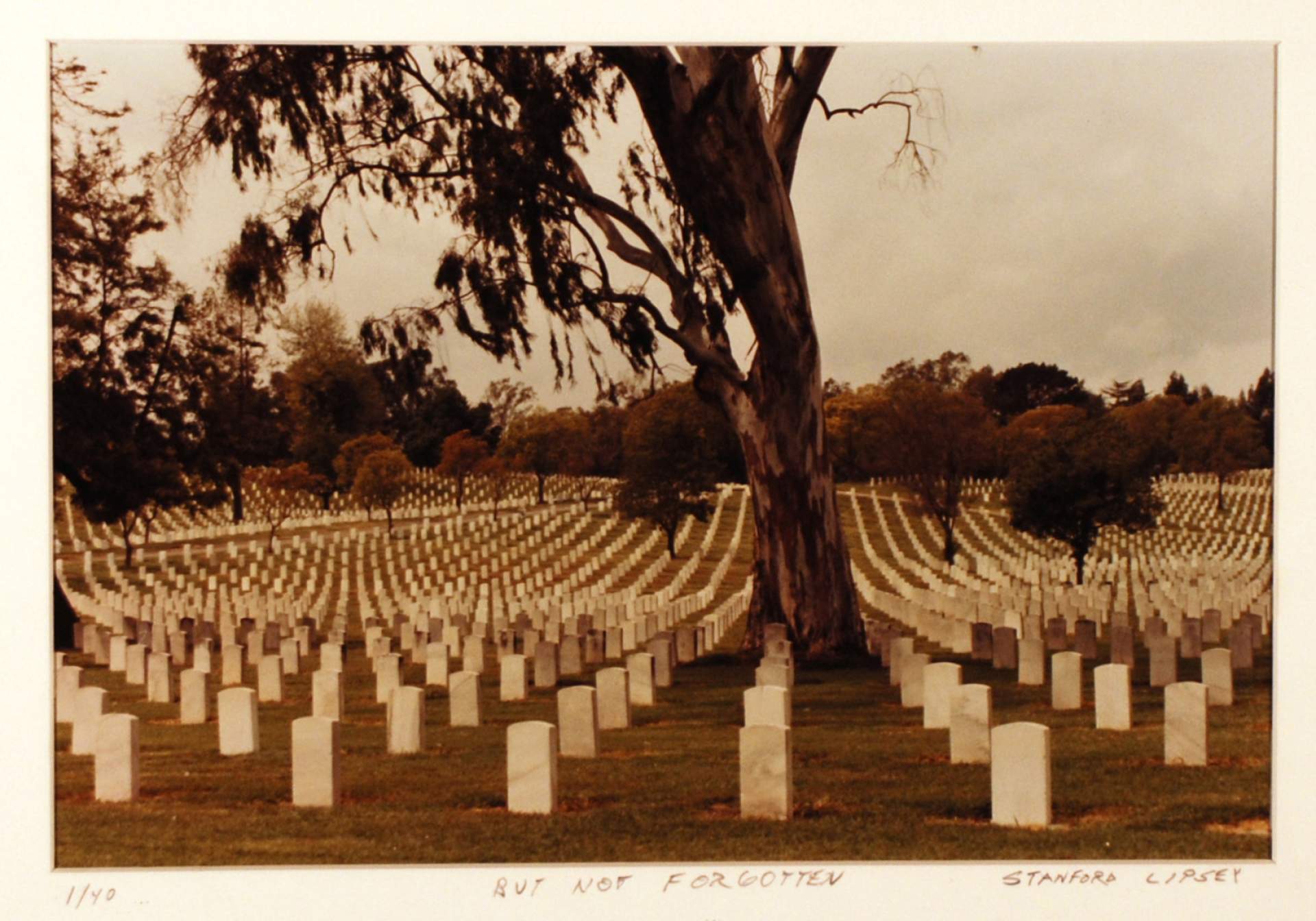 But Not Forgotten Veterans Cemetery, West Los Angeles California