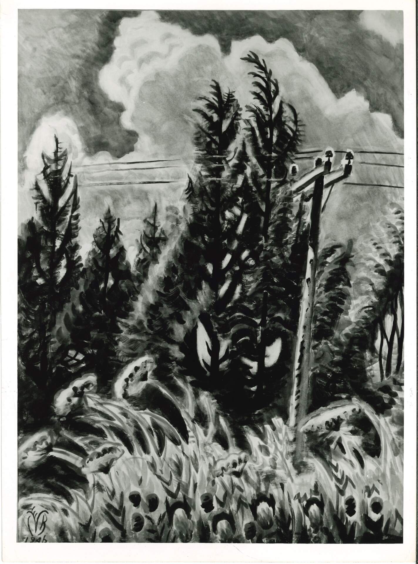 Telegraph Pole in August