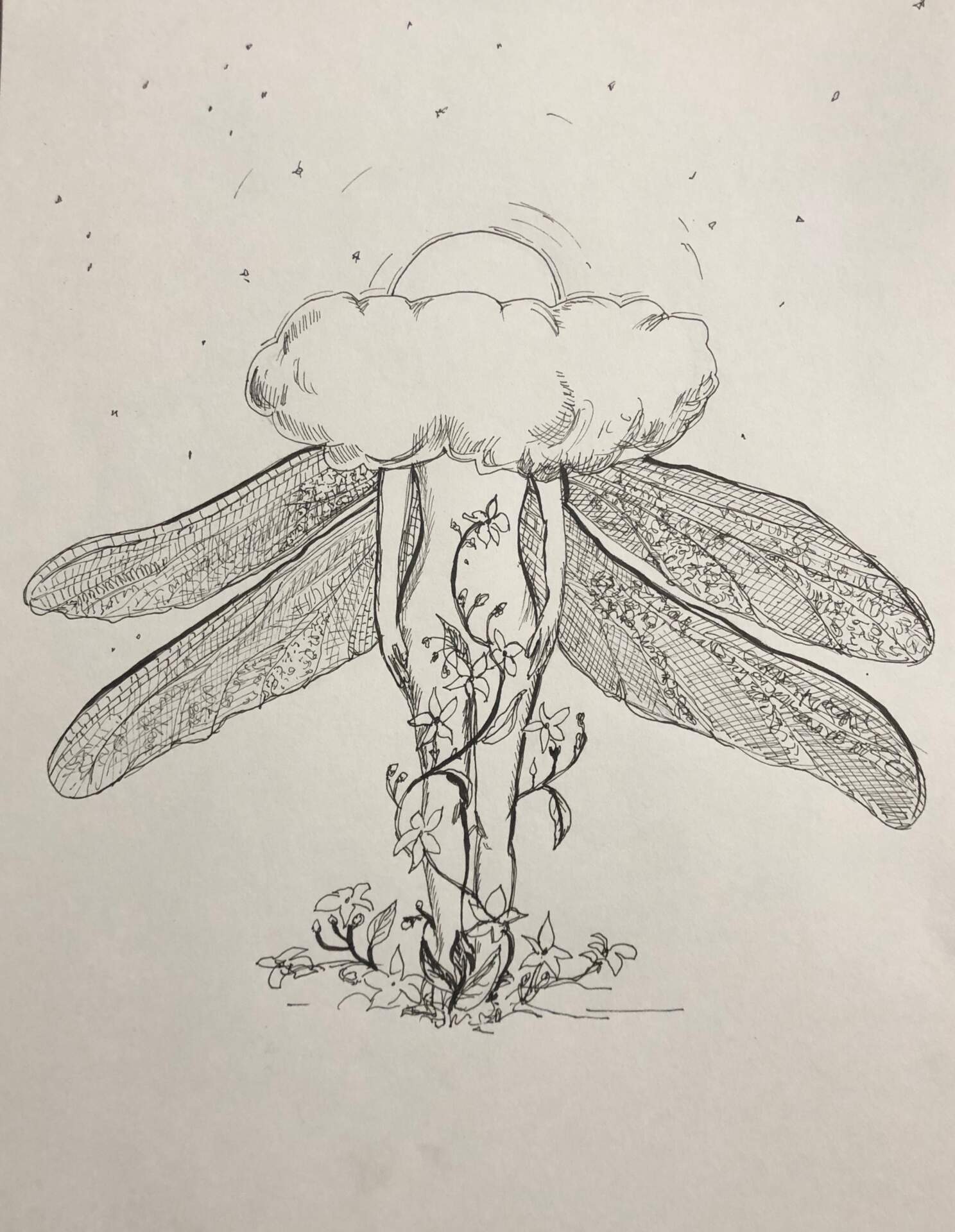 Head in the Clouds