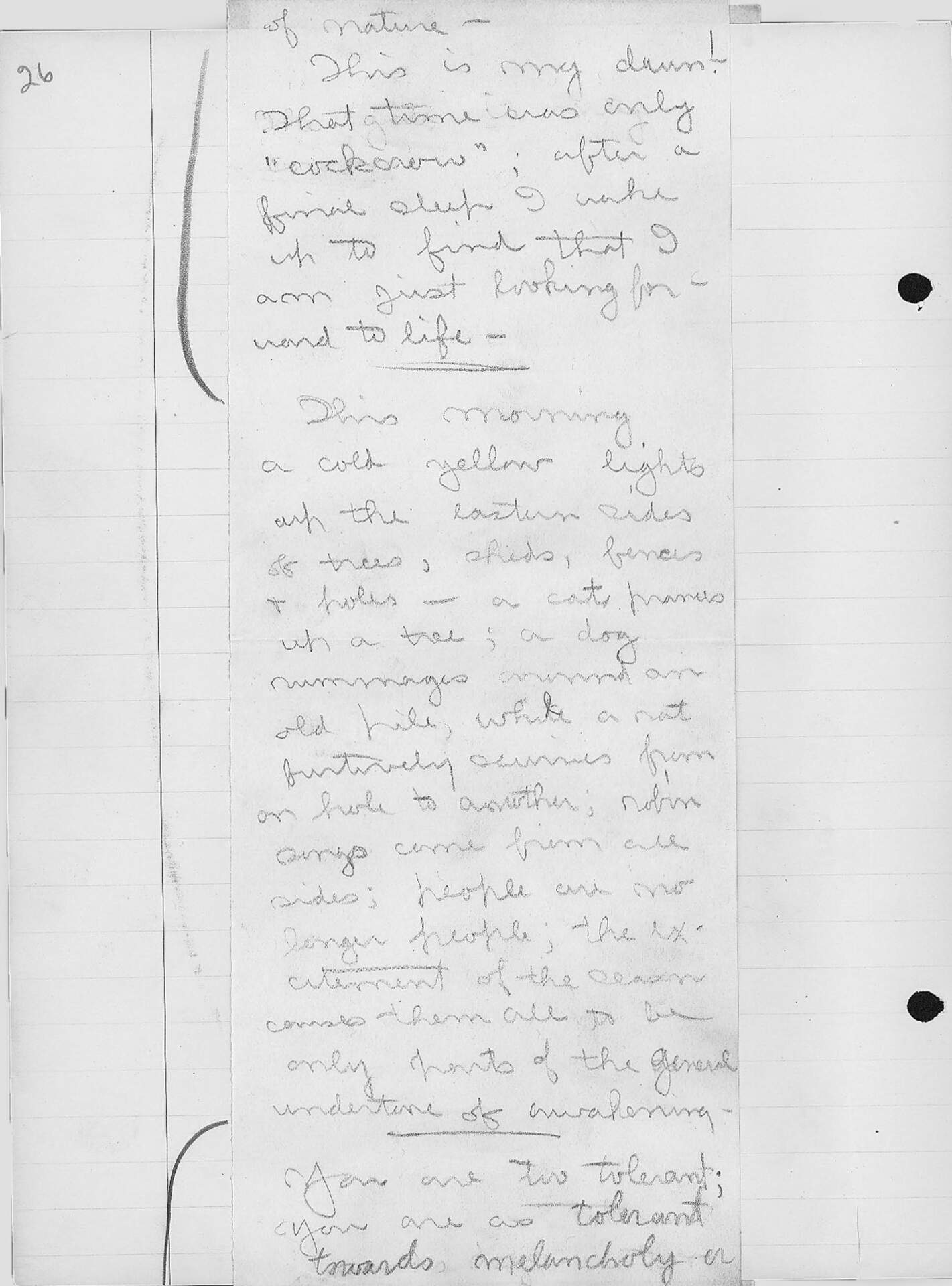 Volume 33, Page 26
