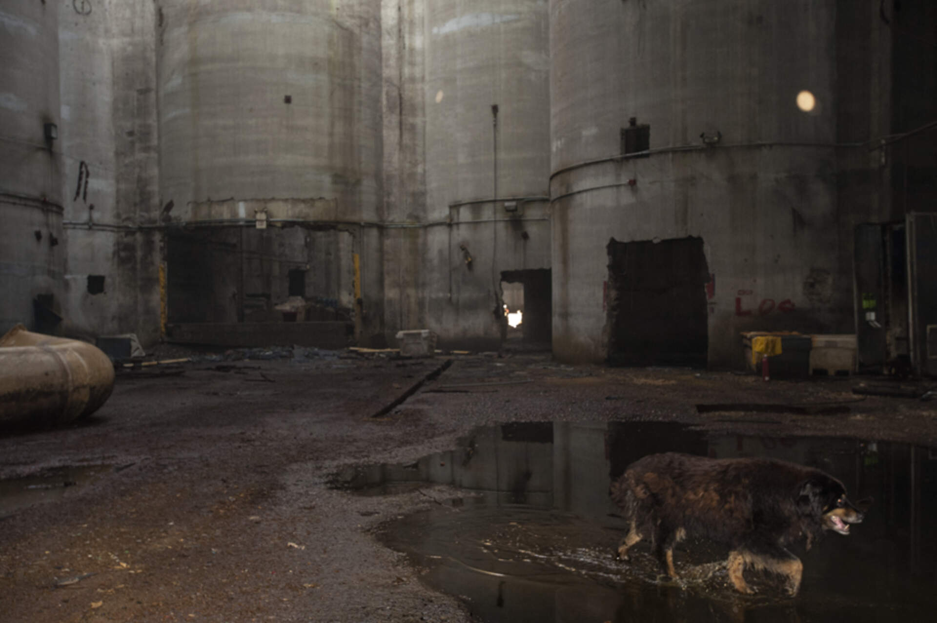 Emily Rose in Grain Elevator