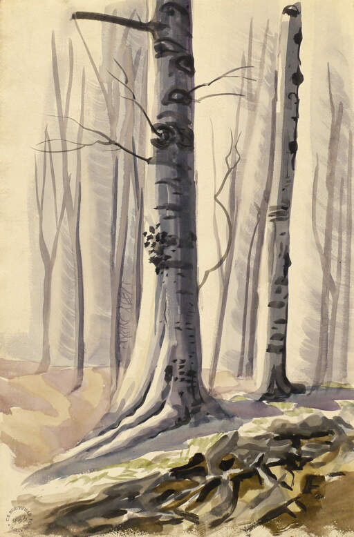 Two Birches