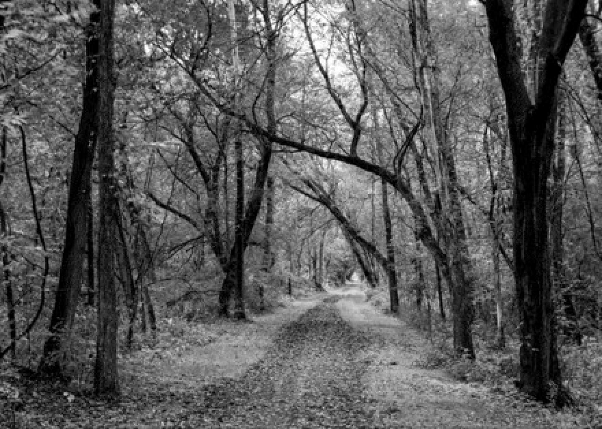 Tow Path, Camillus, NY