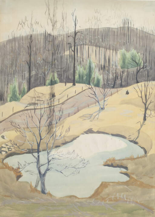 The Pond