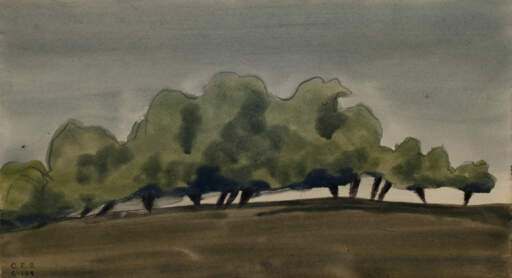 Tree Grove at Dusk