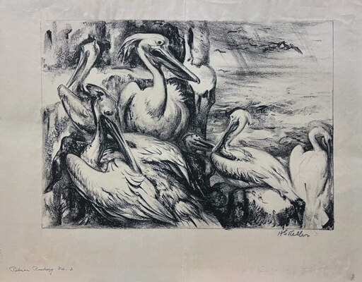 Pelican Rookery, No. 2