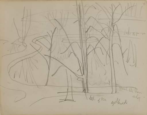 Untitled (landscape with pond)