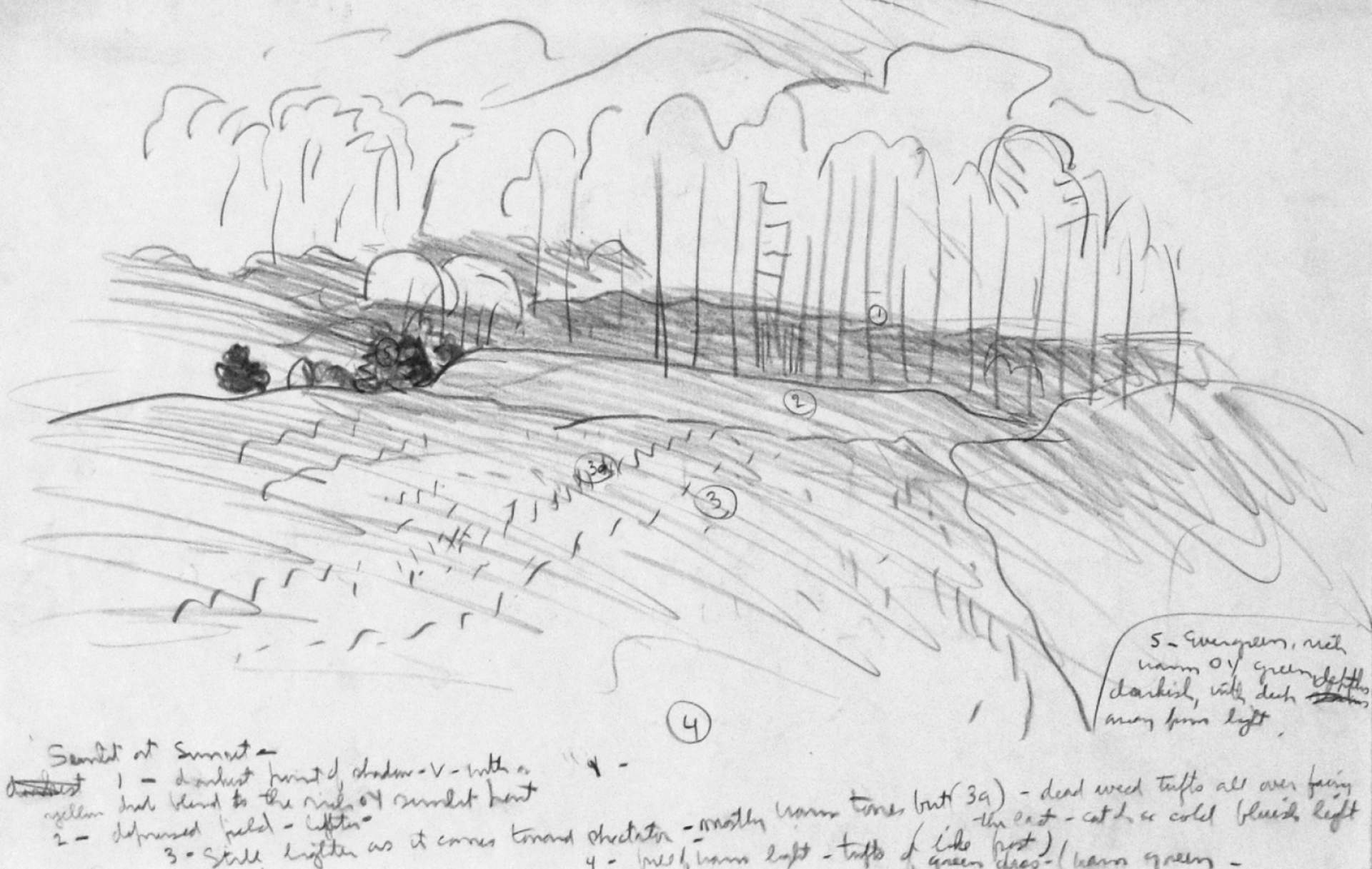 Landscape with Notes