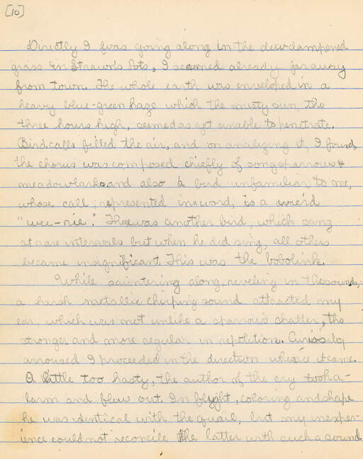Untitled (Journal Pg 10)
