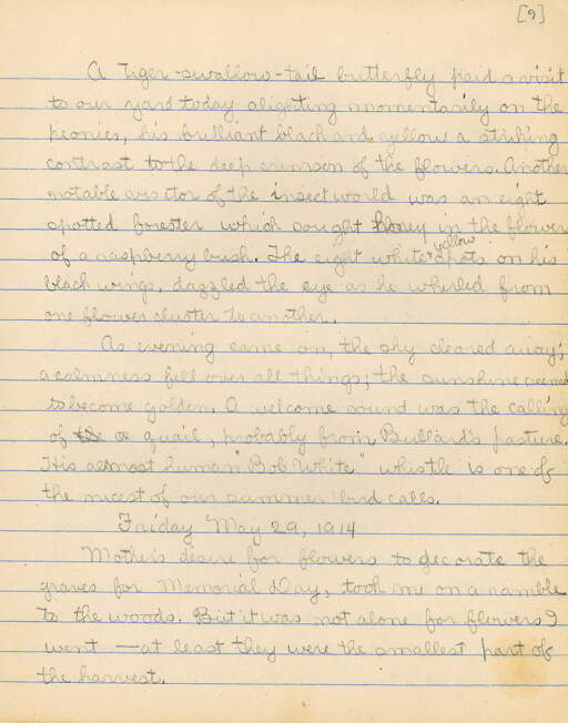 Untitled (Journal Pg 9)