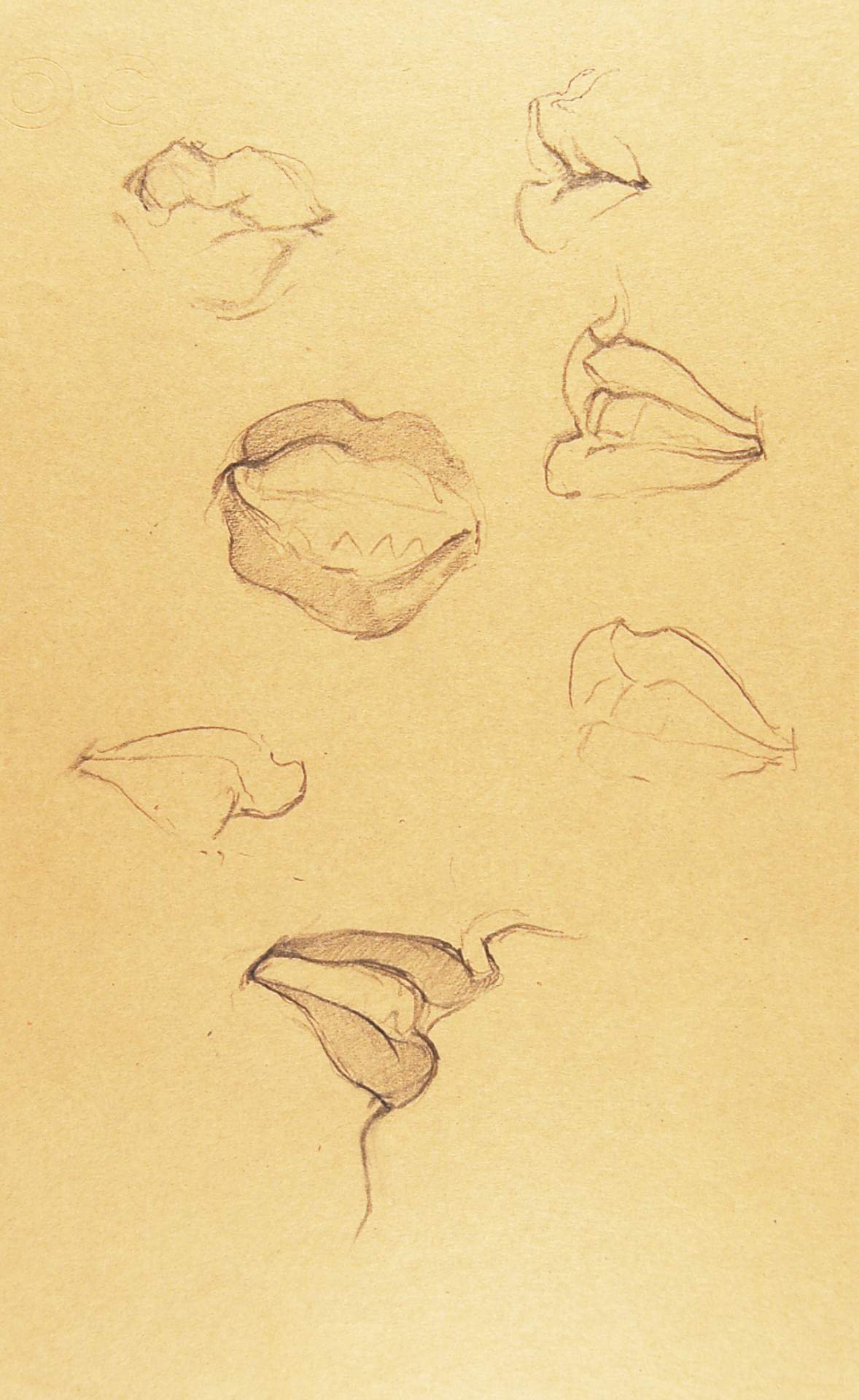 Sketches of Mouths