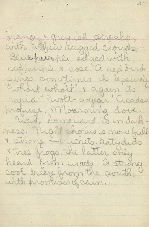 Untitled (Journal Page), Pg 21