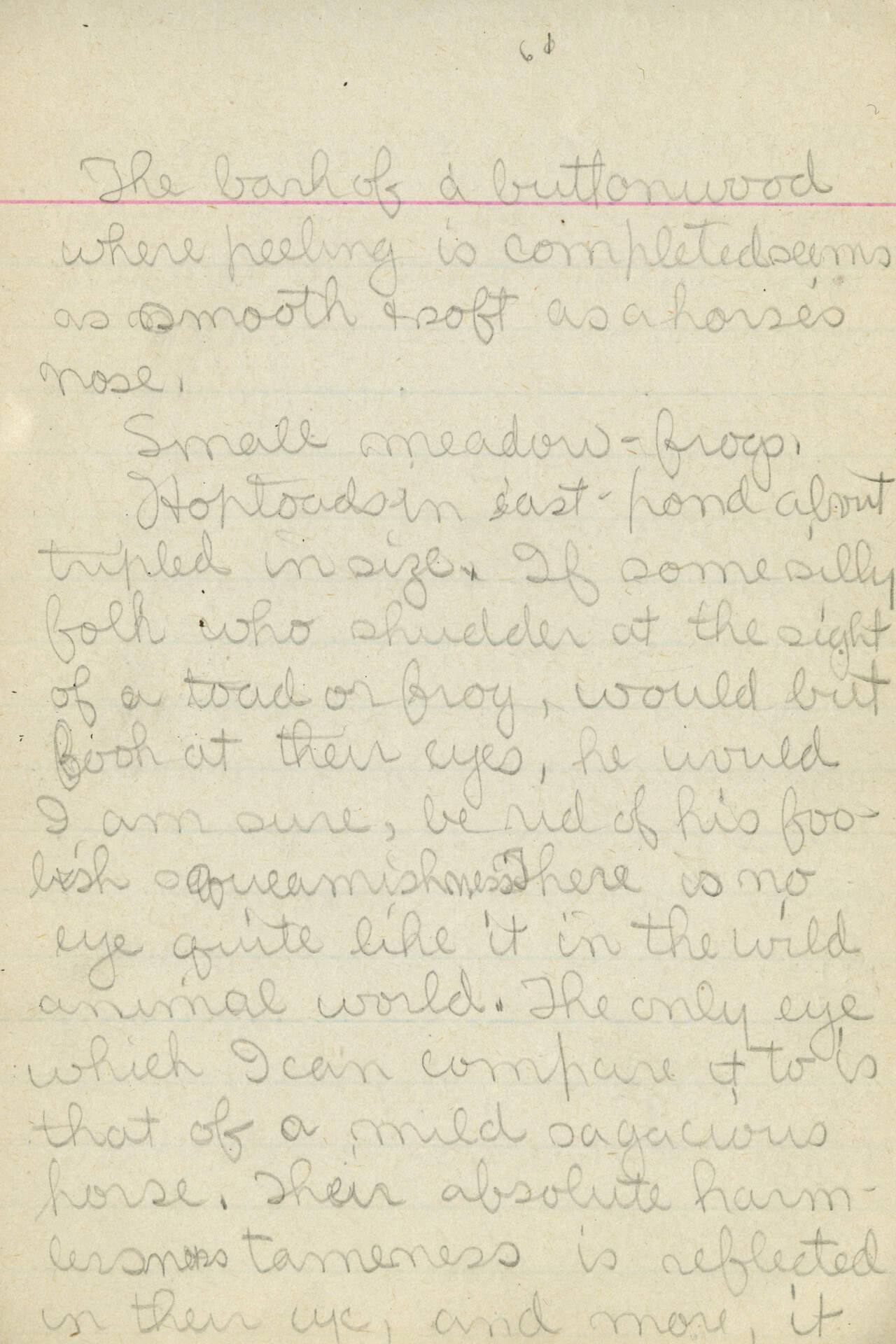 Untitled (Journal Page) pg. 61