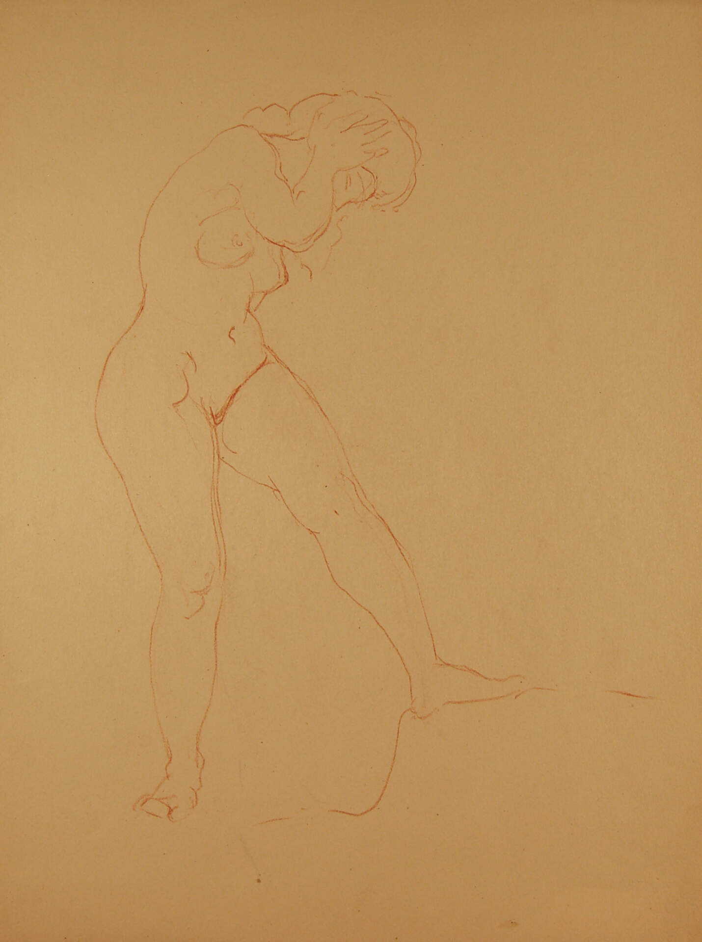 Standing Female Nude