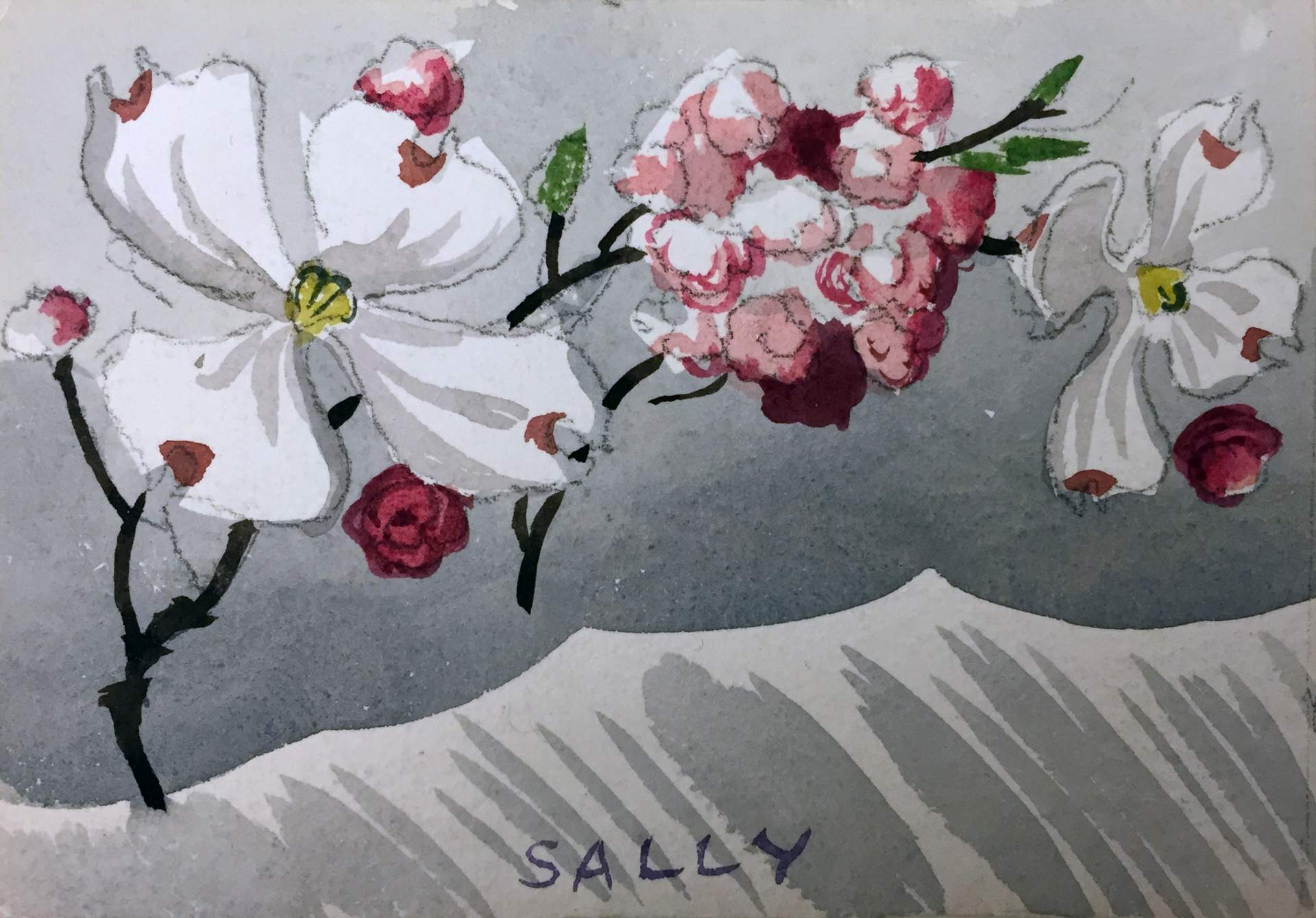 “Sally” with white dogwood and pink hawthorn