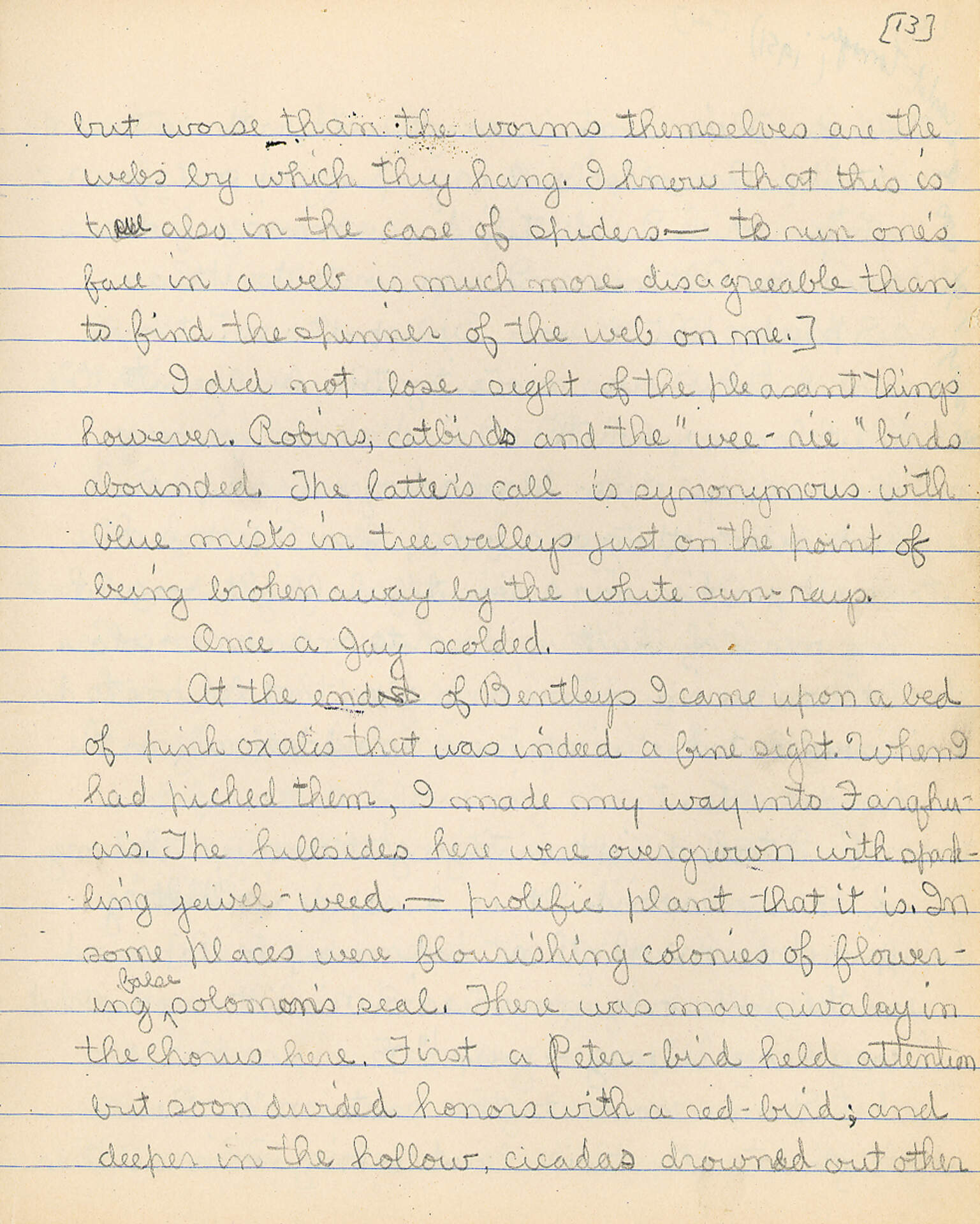 Untitled (Journal Pg 13)