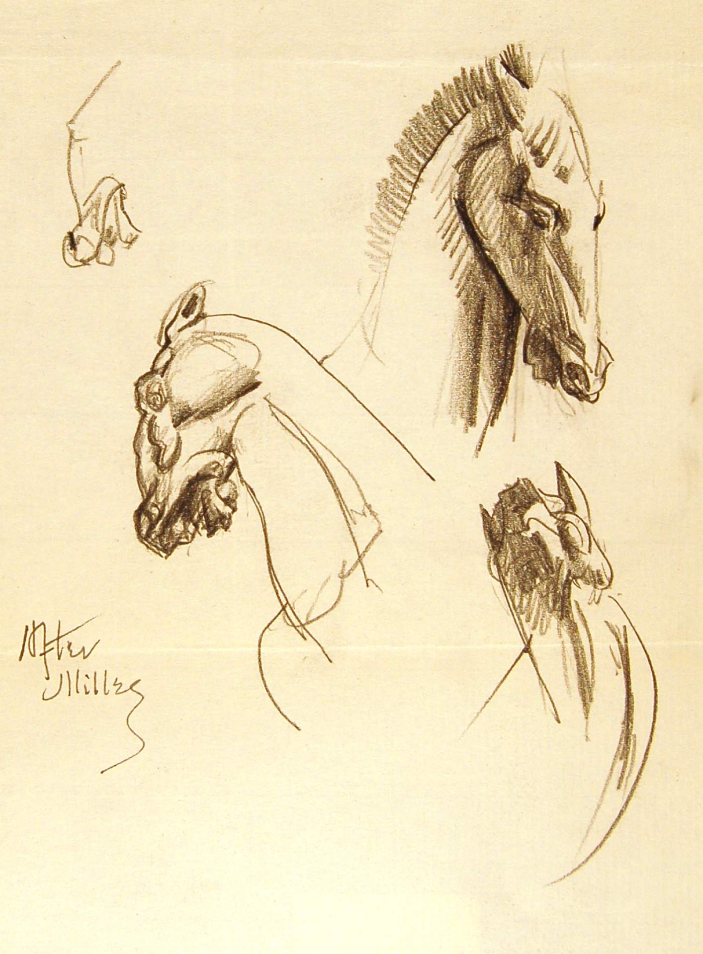 Heads of Horses, After Milley