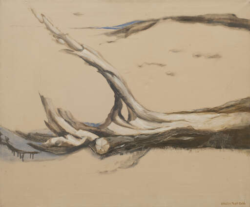 Driftwood