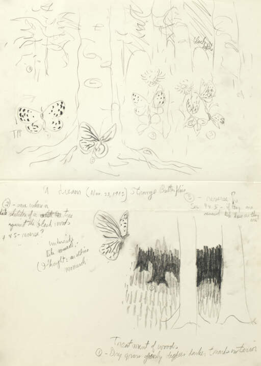 A dream (Nov. 23, 1962) Strange Butterflies