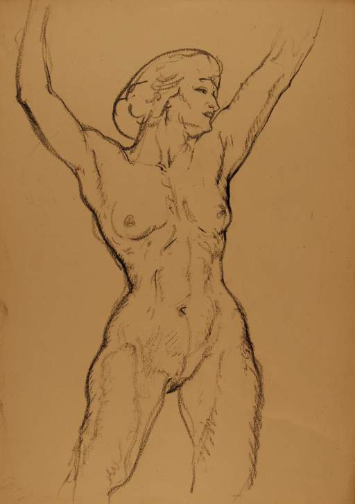 Standing Female Nude, Arms Extrended Over Head