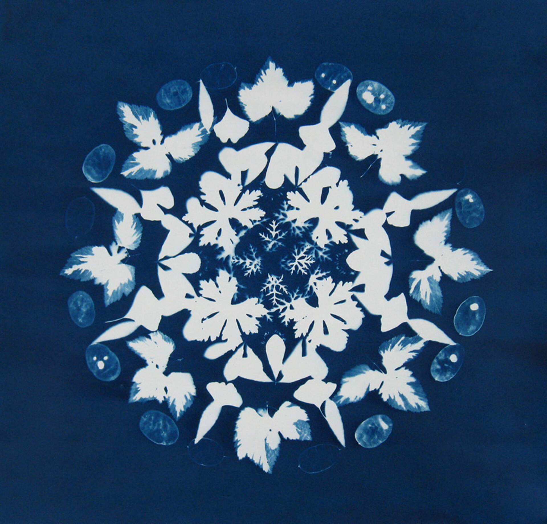 Cyanotype Mandala