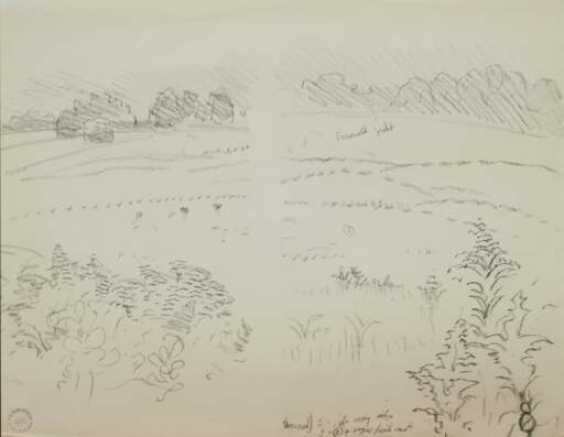 Meadow Sketch, Emerald Field