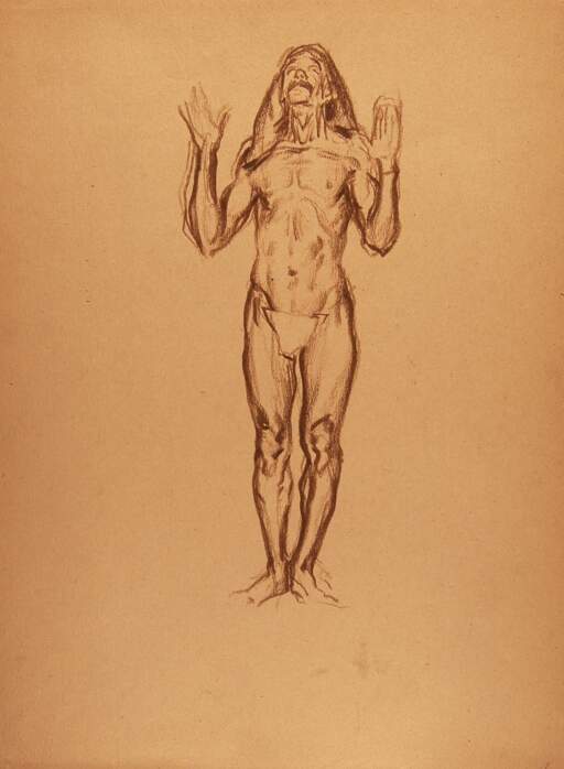 Standing Male Nude