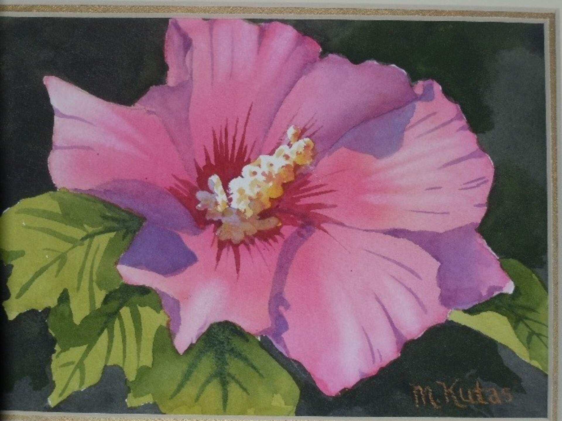 Floral Beginnings