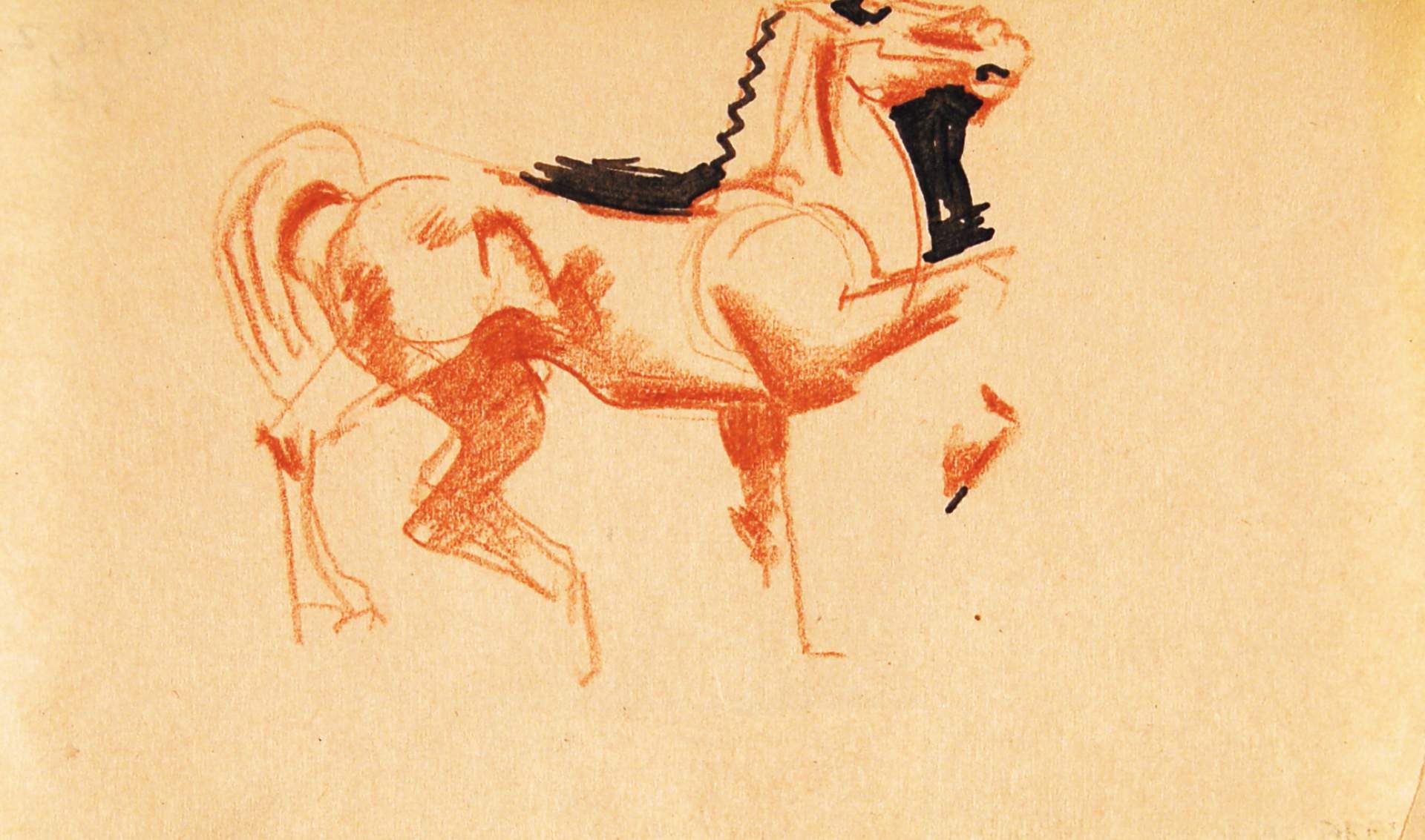 Sketches of Horse