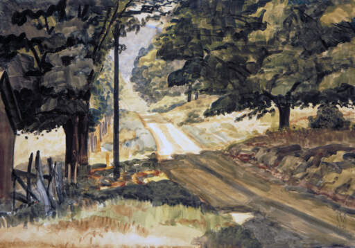 Road in Sunlight and Shadow